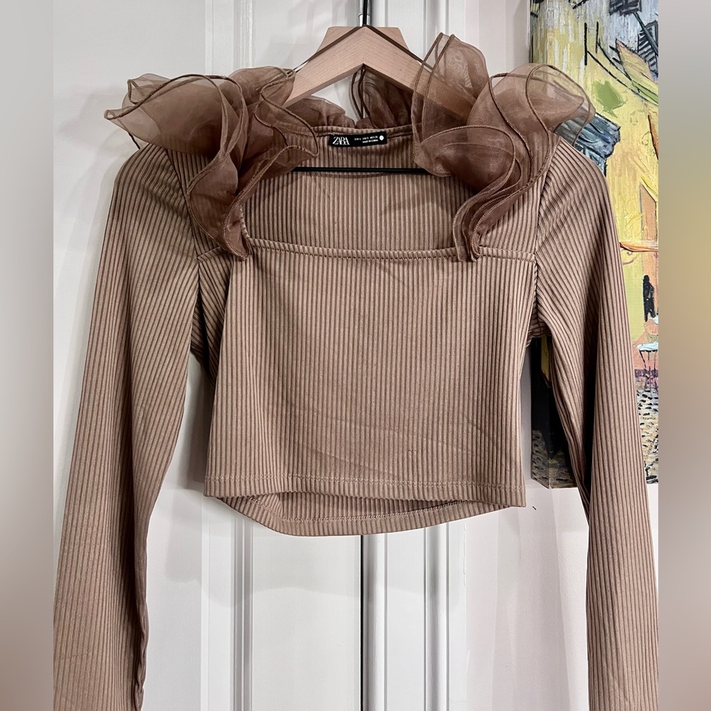 ZARA Ribbed Tan Crop Top